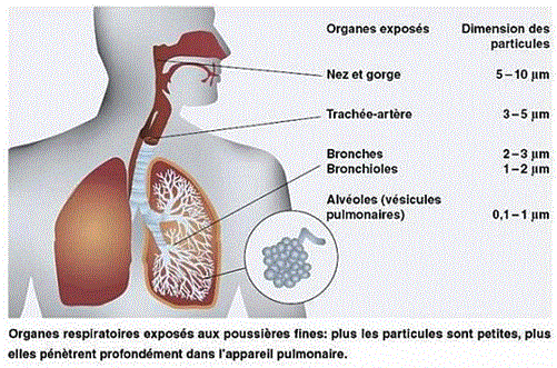 particules-fines.png