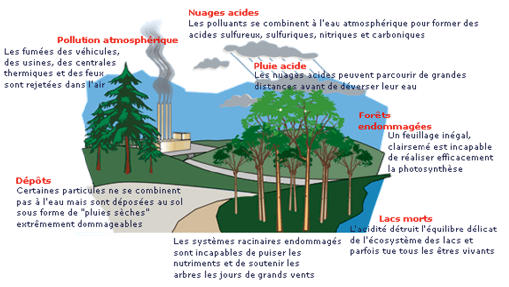 pluies_acides-1024x579.png