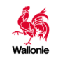 wallonie_coq_fb-90x90.png (wallonie_coq_fb-90x90.png)